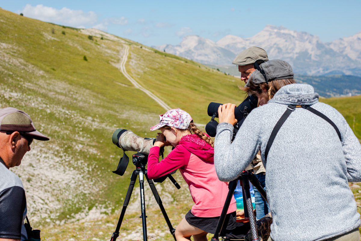 Observations des Grands Rapaces avec  Envergure Alpine
