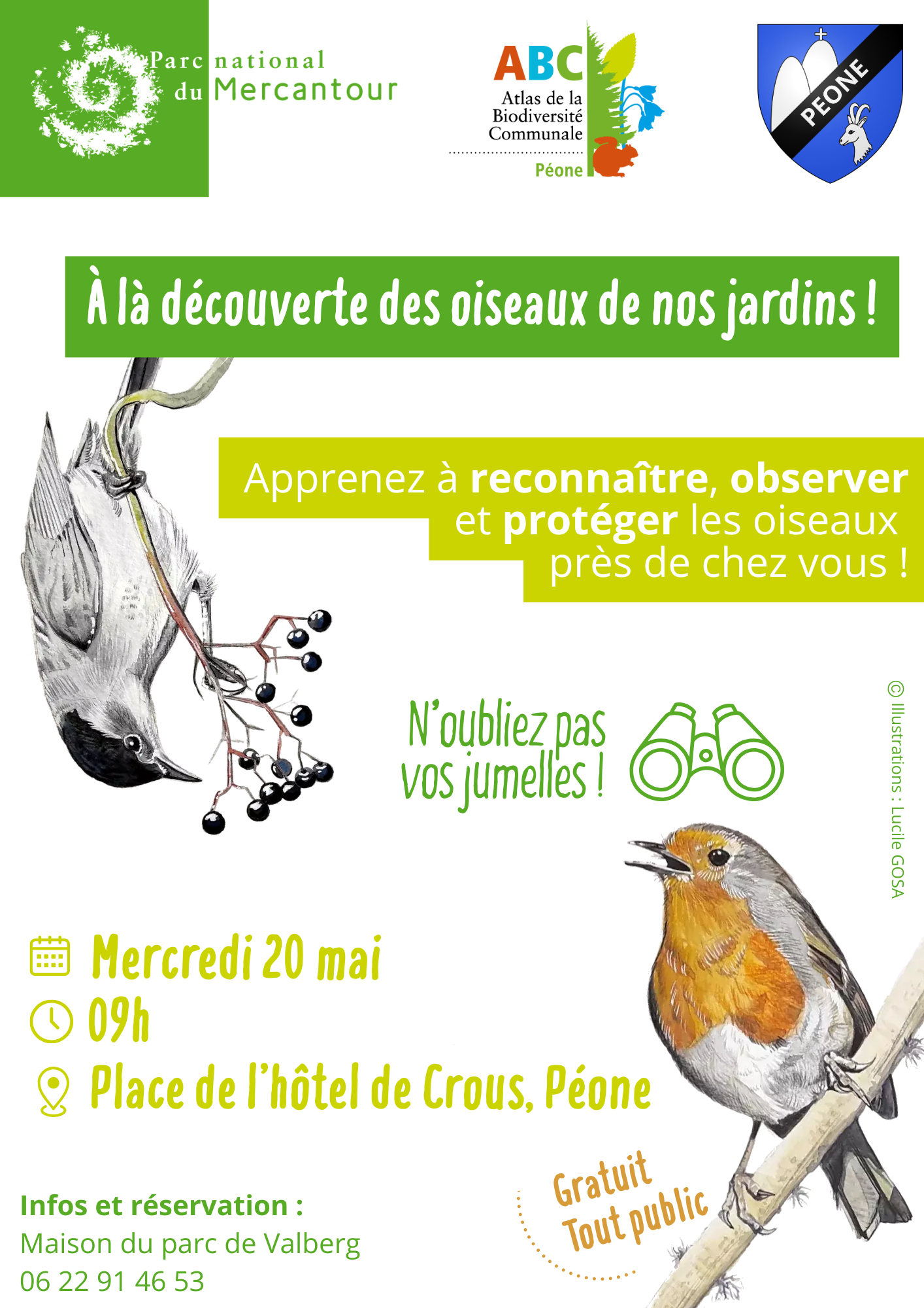 � la d�couverte des oiseaux de nos jardins !