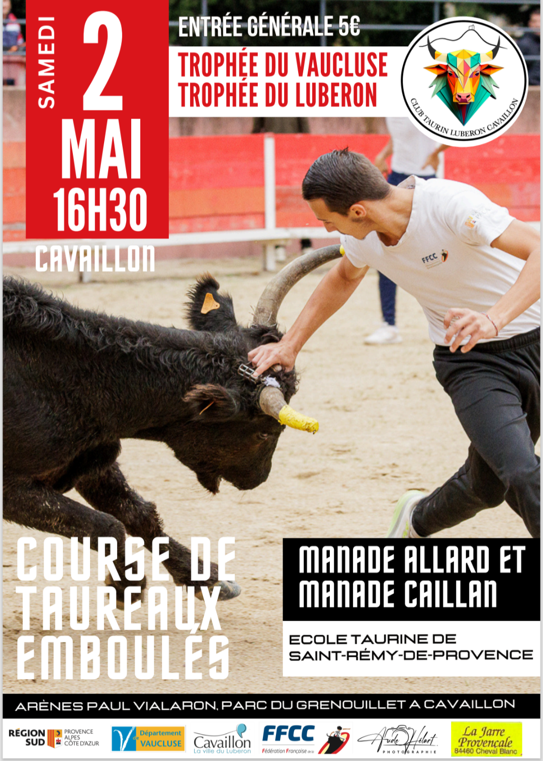 Courses de taureaux emboul�s