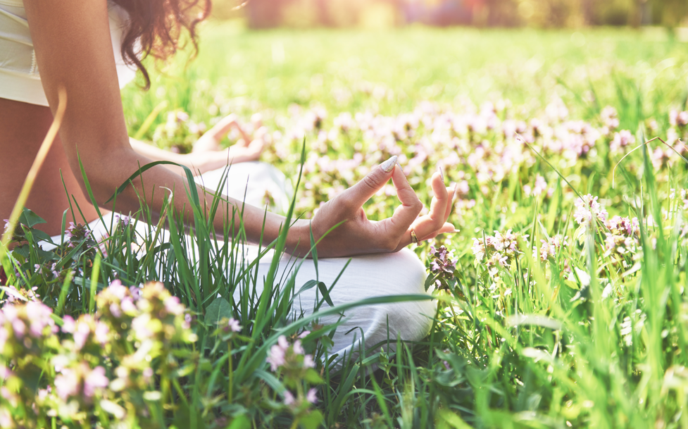 Pure Flow : Morning reset - Energie positive