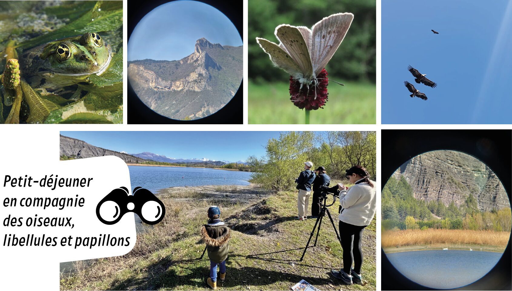 Petit-d�jeuner nature : oiseaux, libellules, papillons de la Durance - Autres Versants