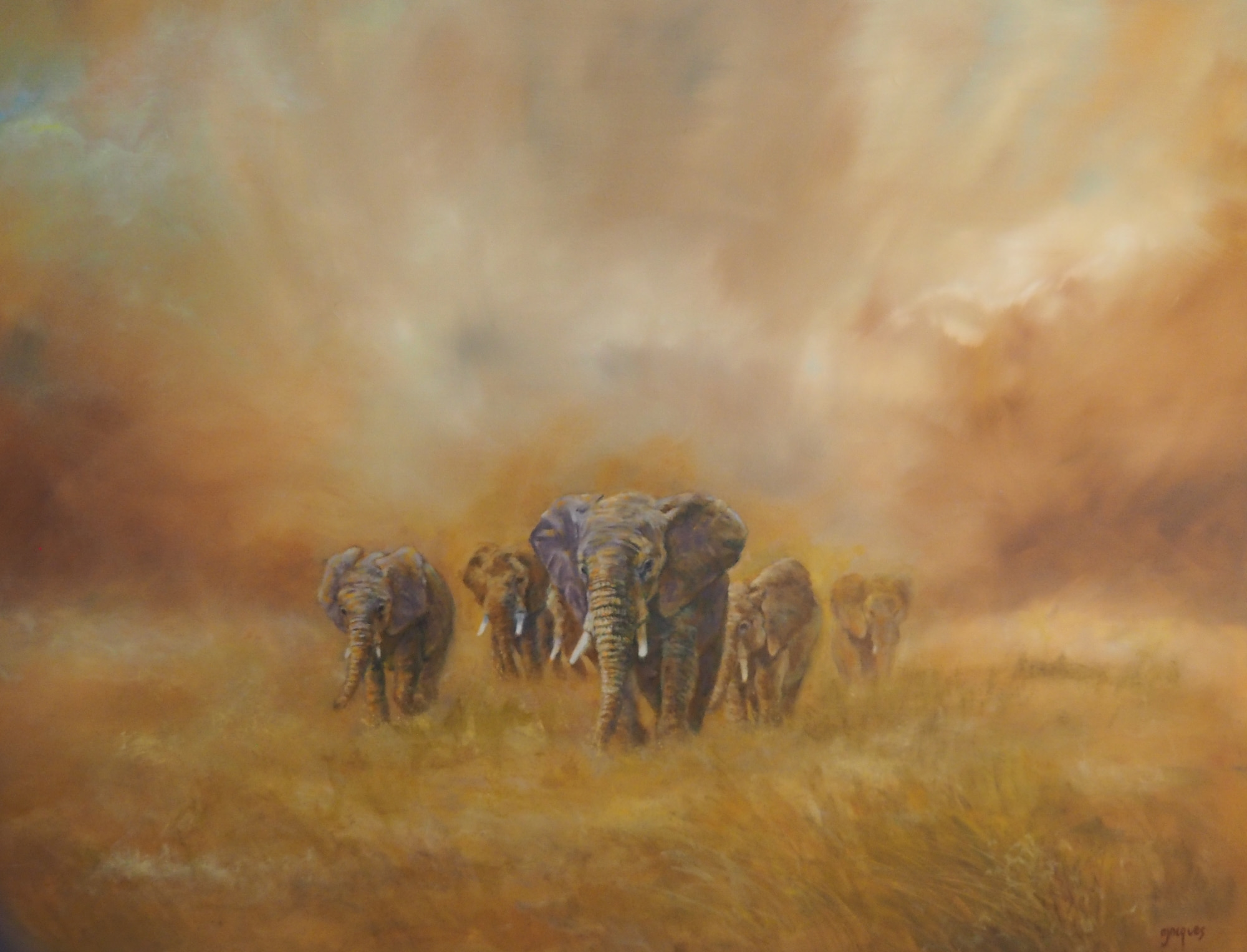 Exposition faune & flore