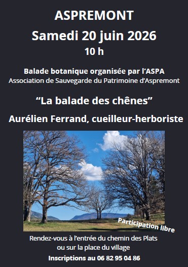 Balade Botanique : � La balade des ch�nes �