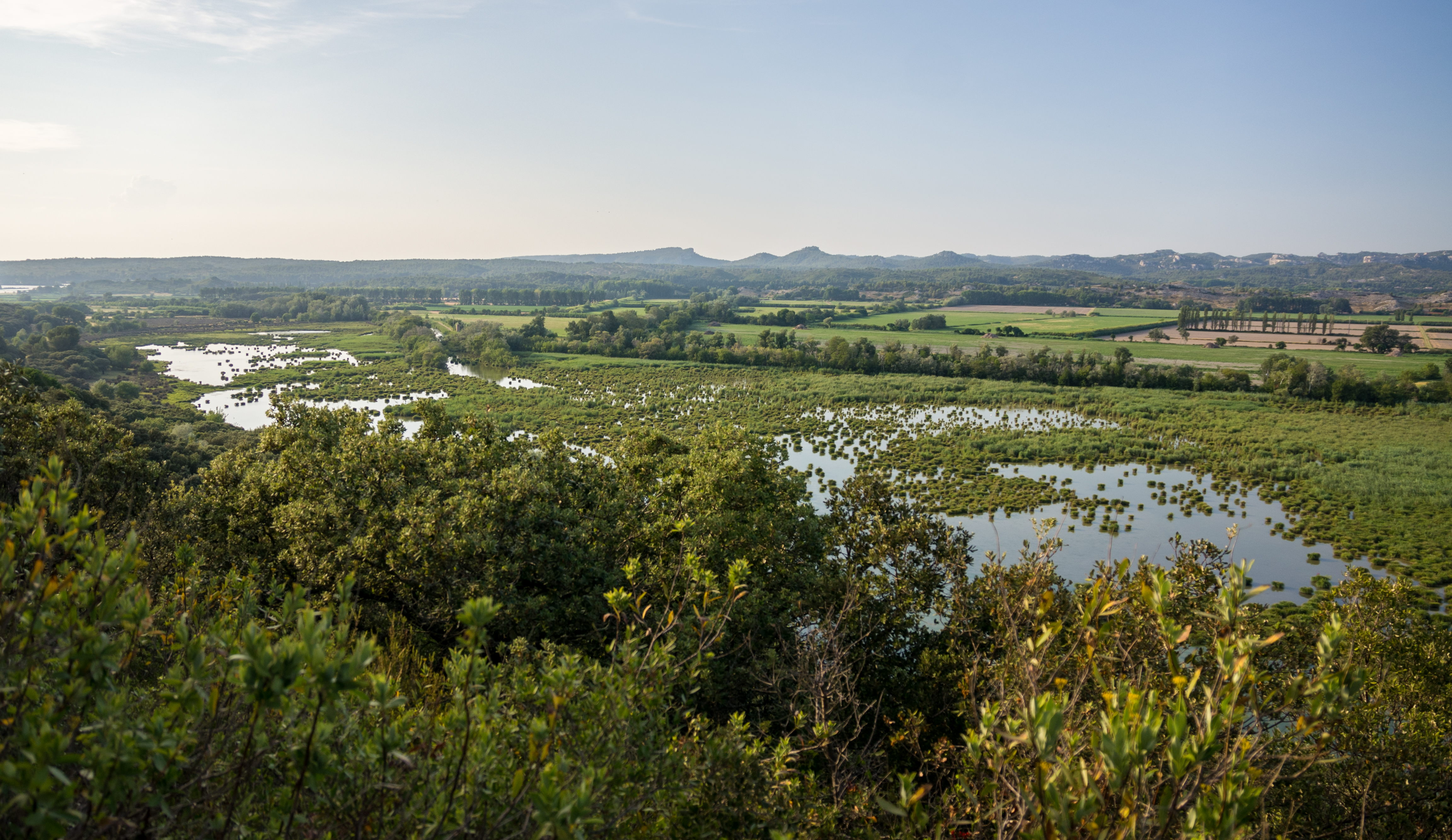 Sortie nature : La r�serve naturelle r�gionale de l'Ilon