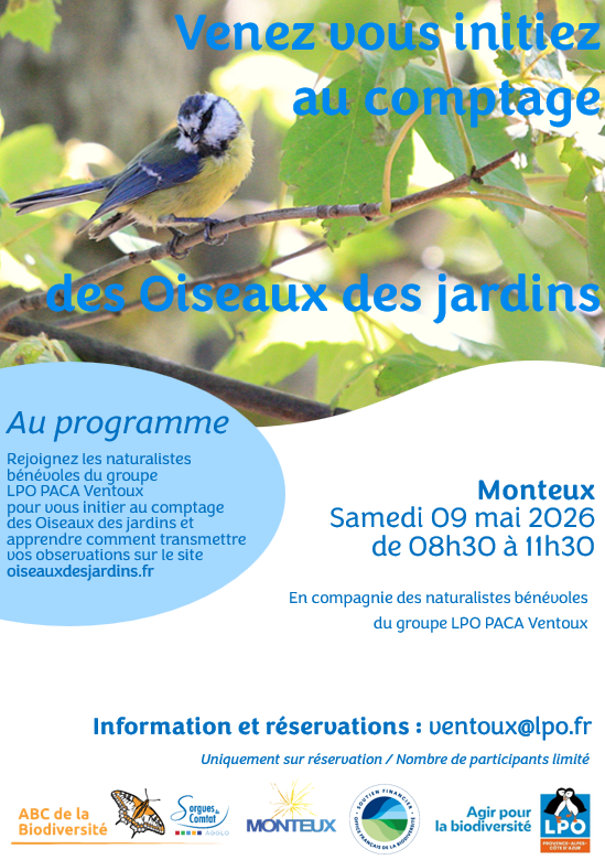 Initiation au comptage des oiseaux des jardins