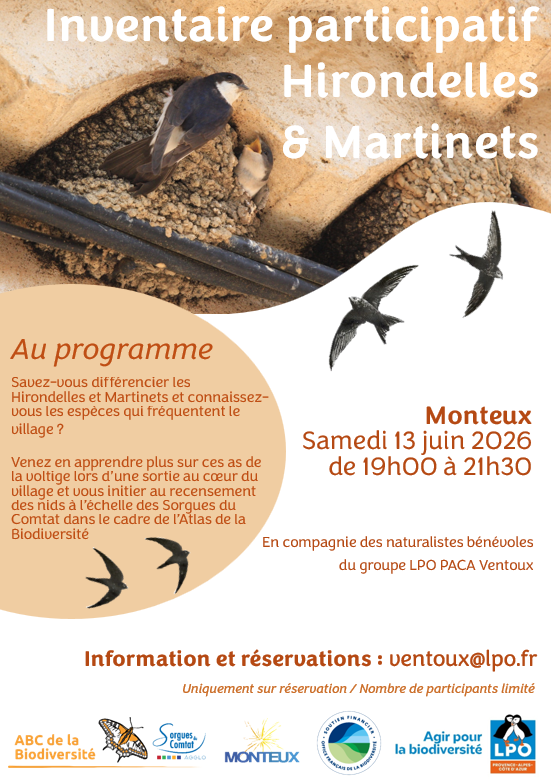 Inventaire participatif Hirondelles et Martinets