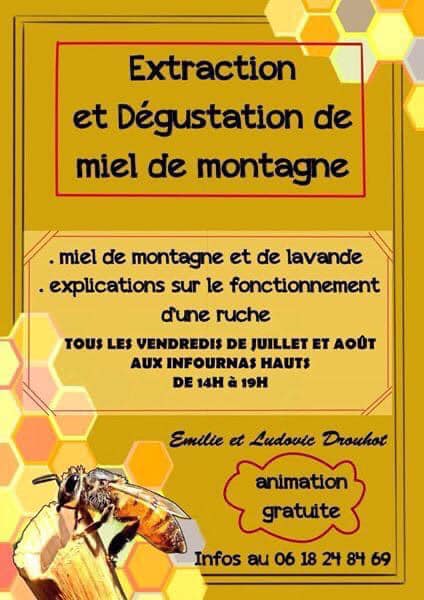 Extraction et d�gustation de miel de montagne - Ferme Drouhot