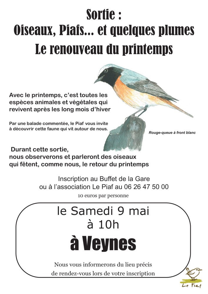Promenade ornithologique