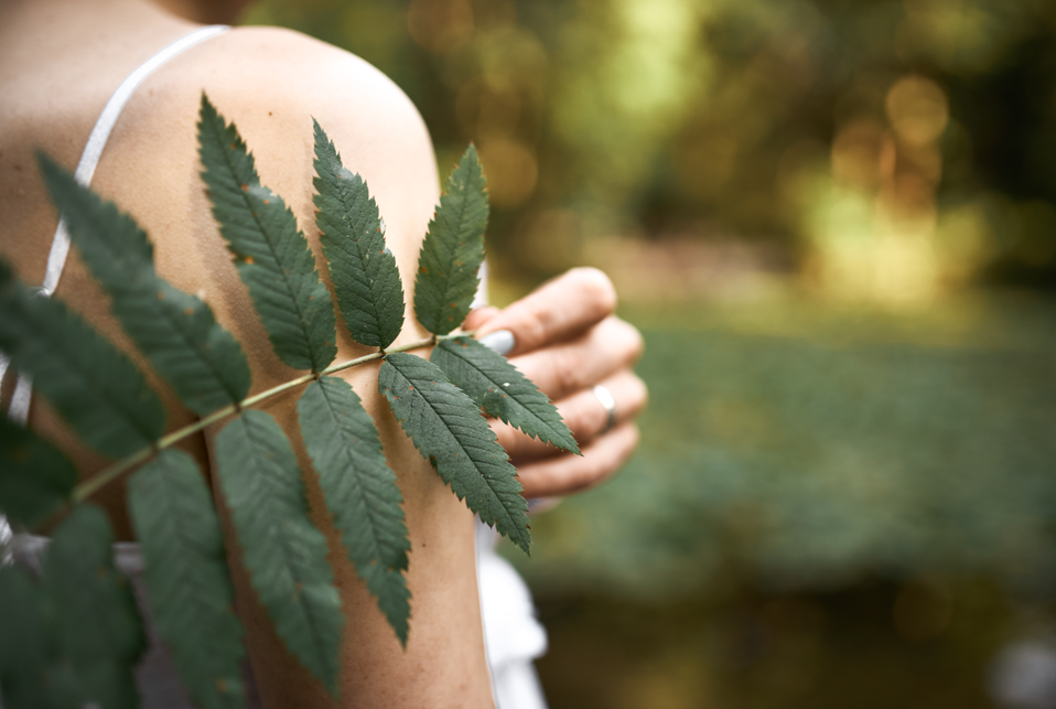 Balades nature & bien-�tre : 
