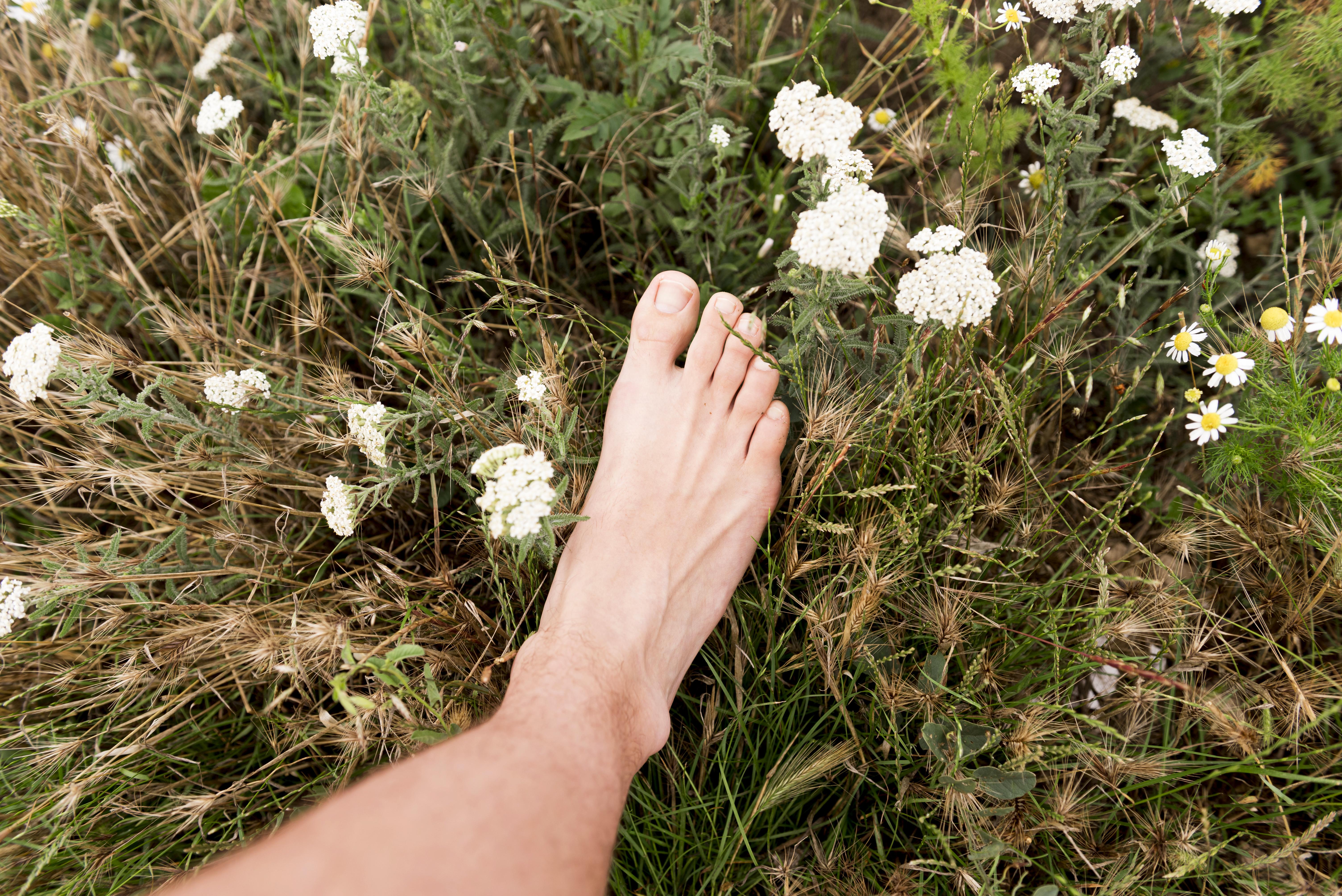 Balades nature & bien-�tre : 