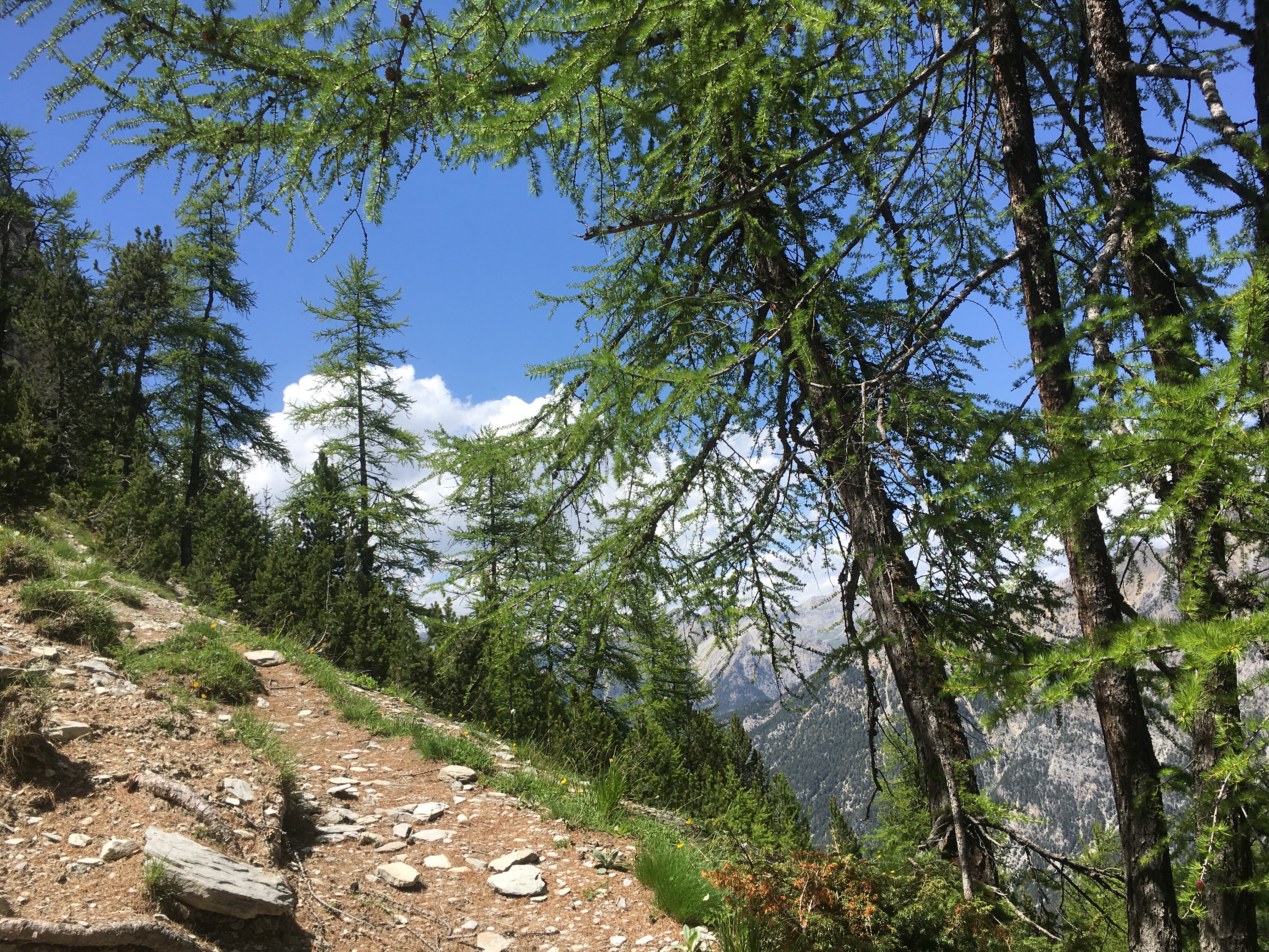 Balades nature & bien-�tre : 