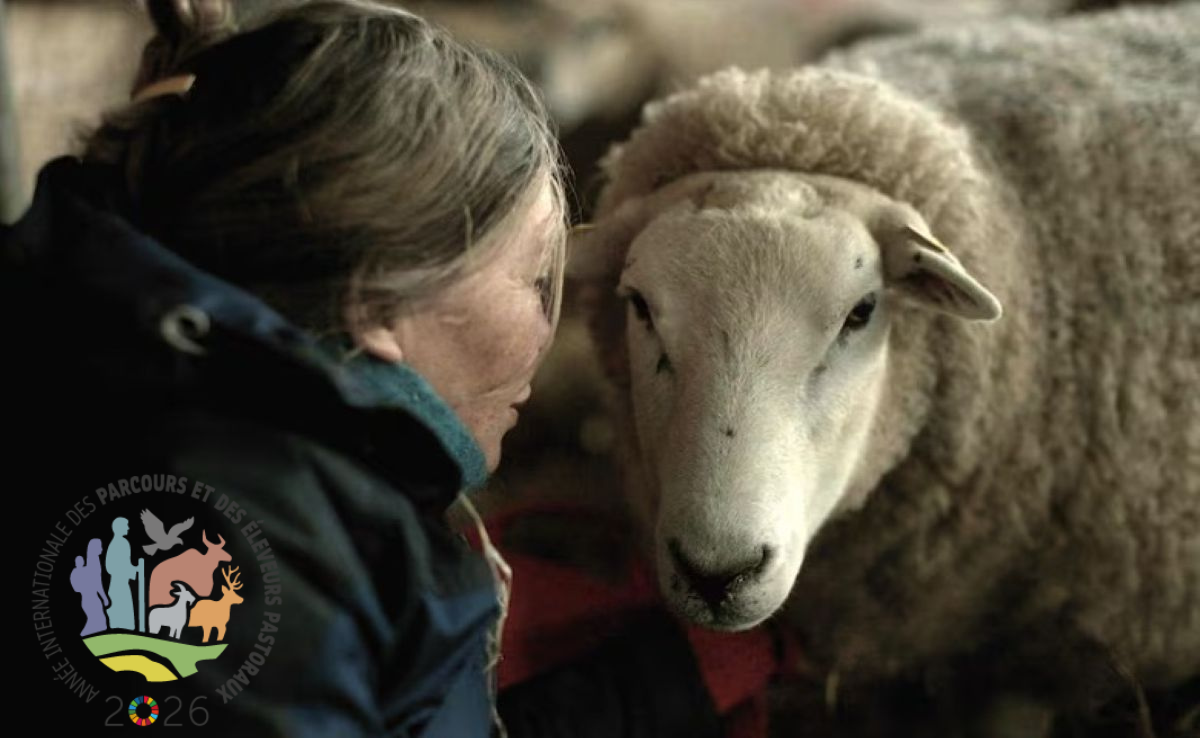 Rencontre culturelle : Projection de 