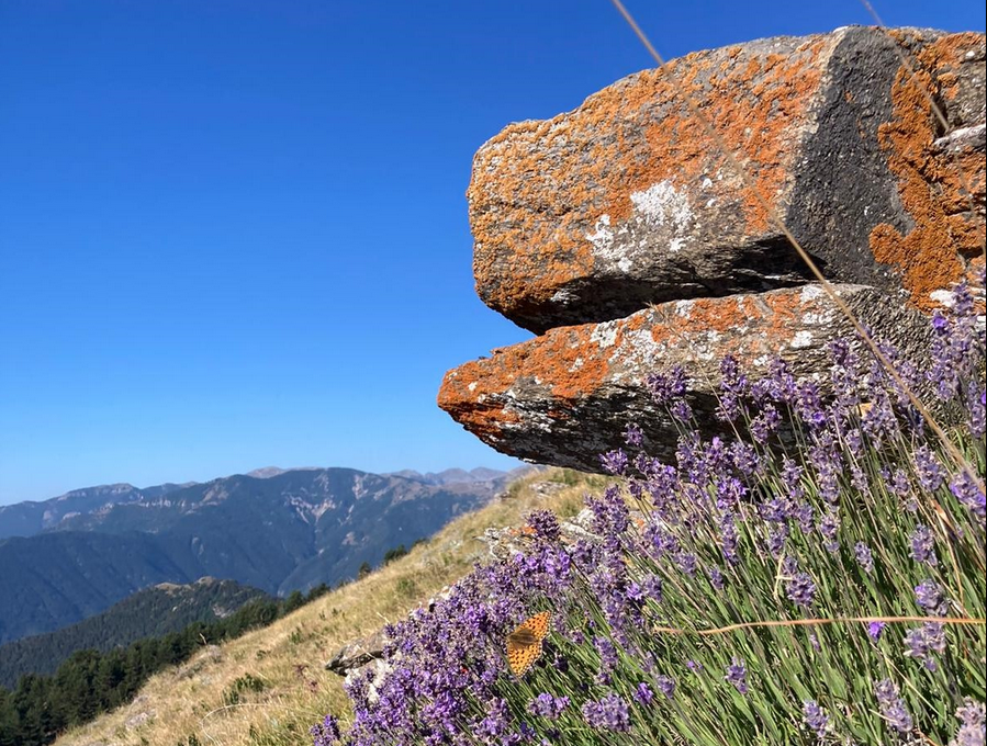 Balade d�couverte de la Ferme de Castel Tournou