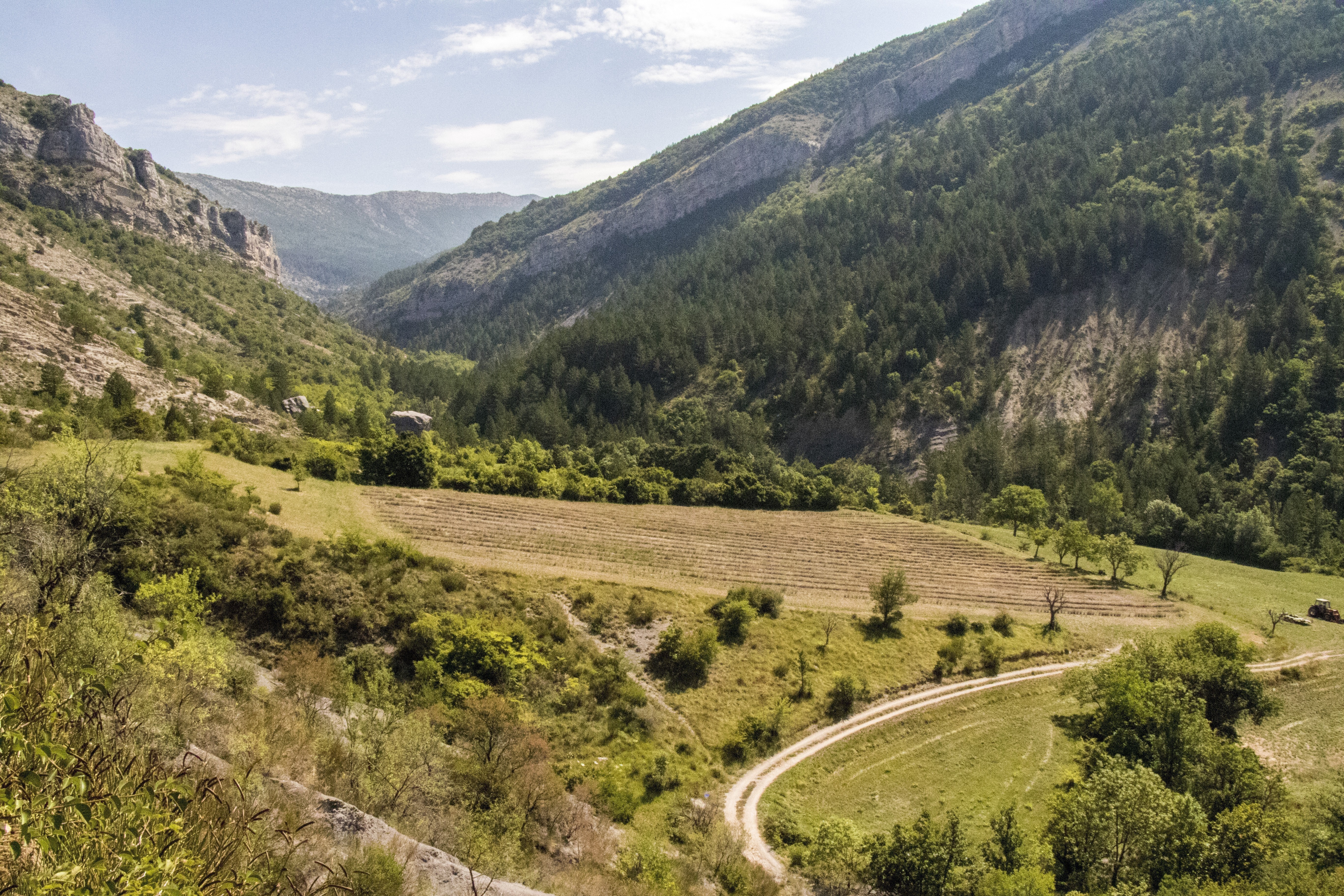 Sortie Natura 2000 : L'Homme, un mammif�re dans le vivant � Saint-Genis