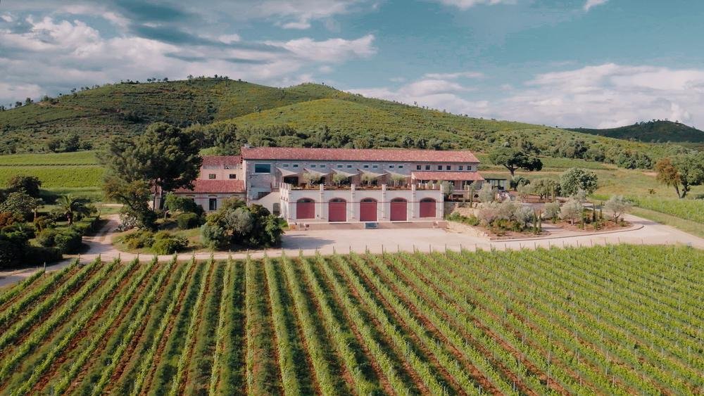 Les Musicales dans les vignes - Jazz Manouche au Ch�teau Galoupet
