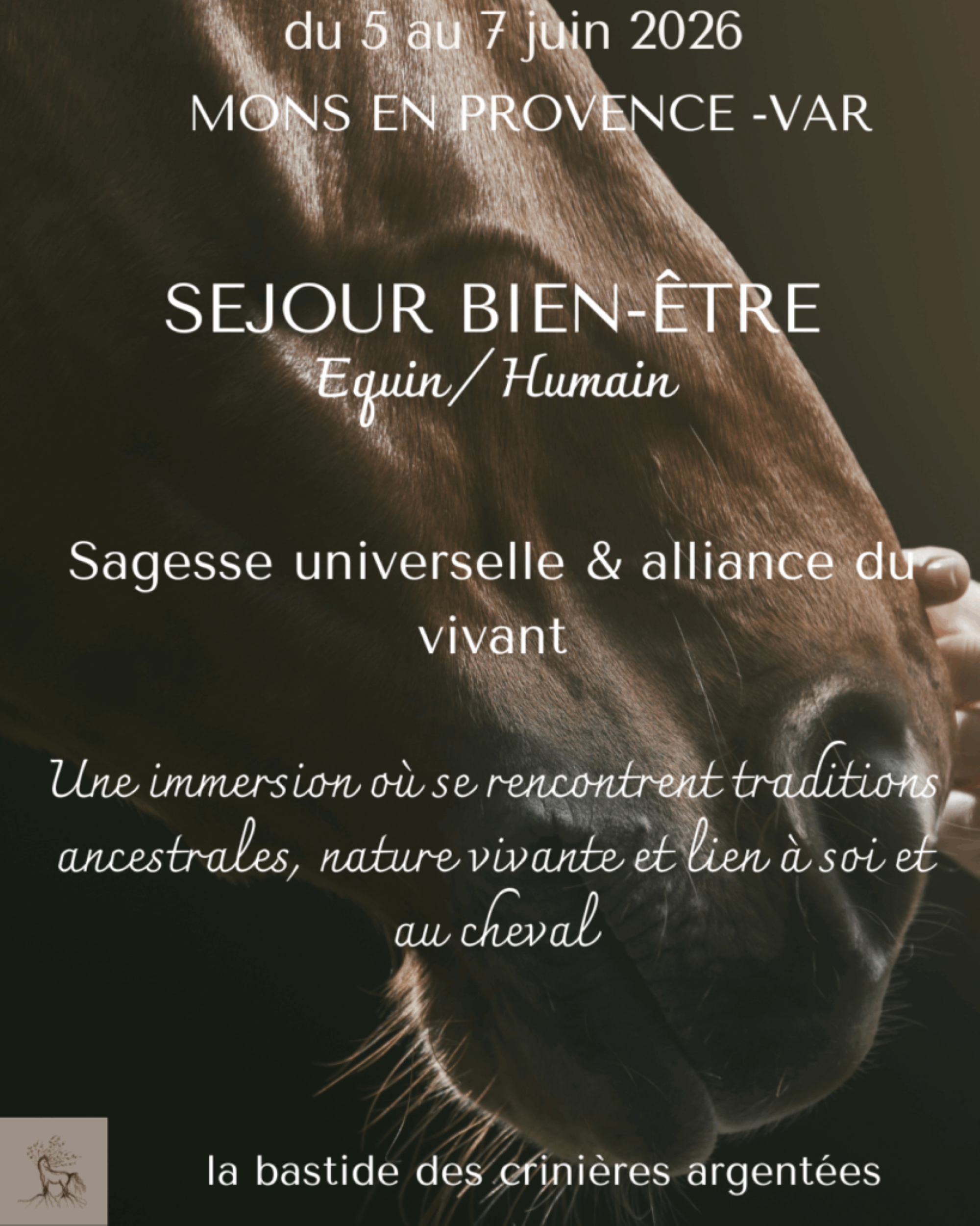 Stage bien-�tre  Humain & Equin � la Bastide des Crini�res Argent�es