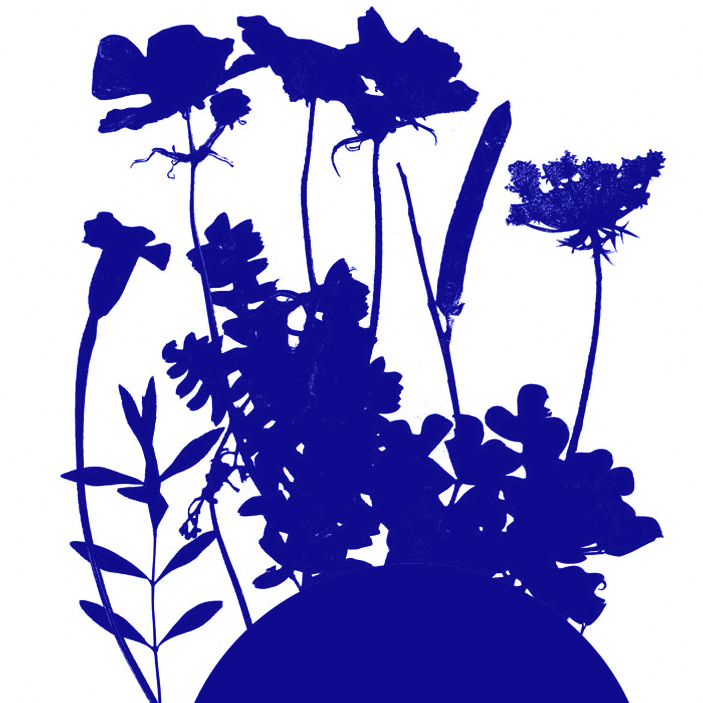 Atelier Jeune Public de S�rigraphie - Estivales du Haut-Calavon