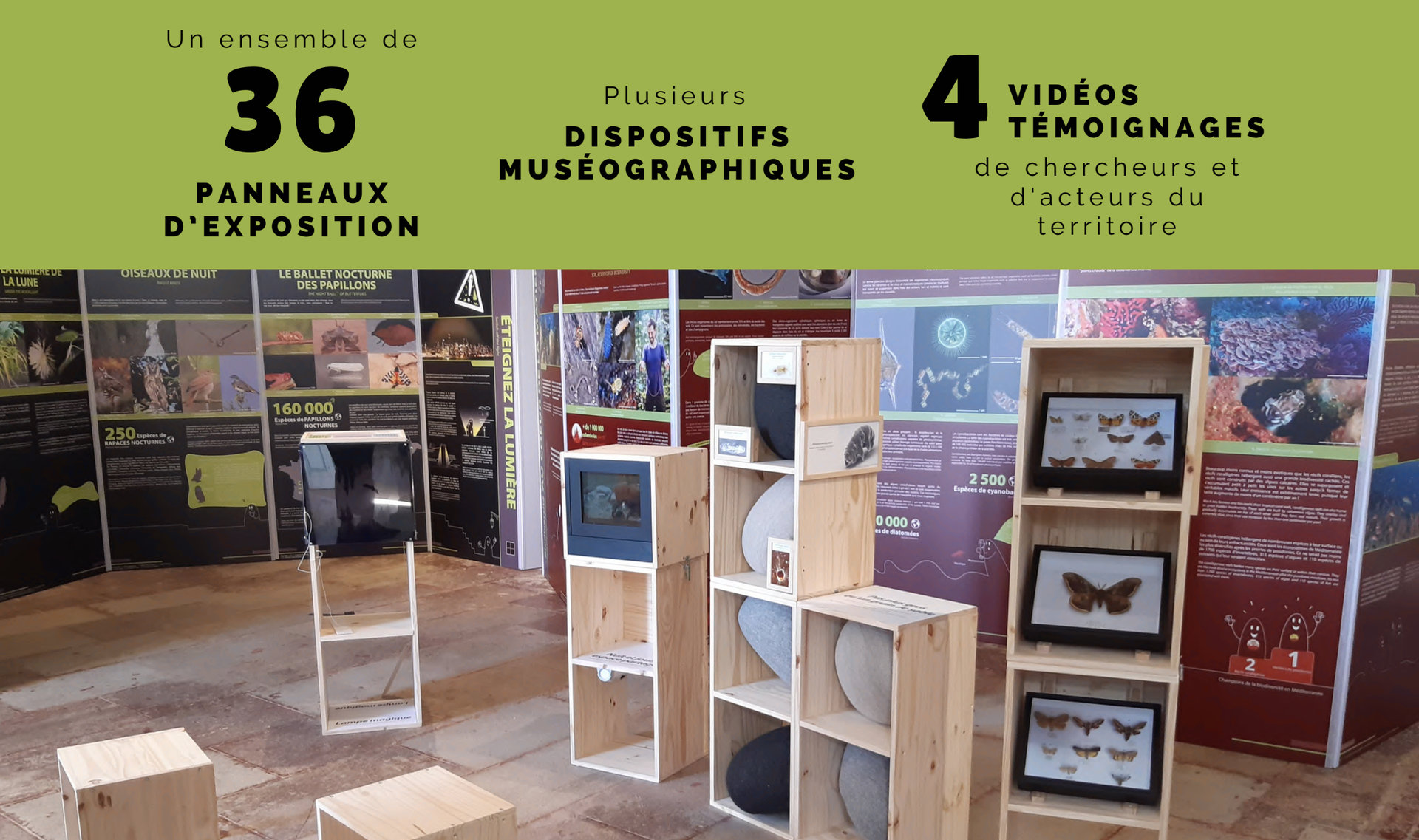 Exposition Estivale 