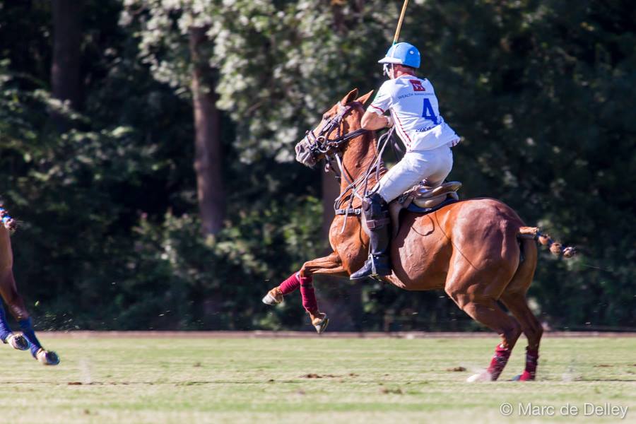 Tournois de polo saison 2026 - Haras de Gassin