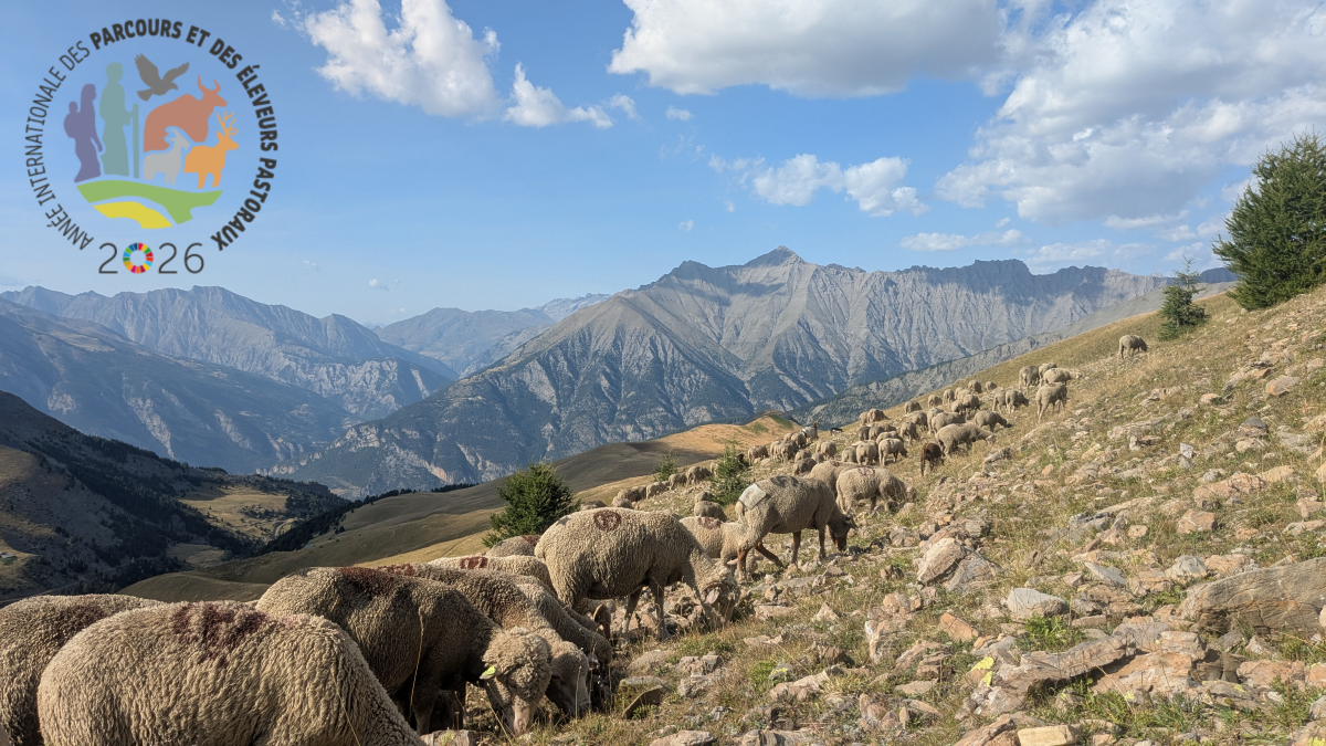 Sur les pas du berger : balade, contes et d�gustation