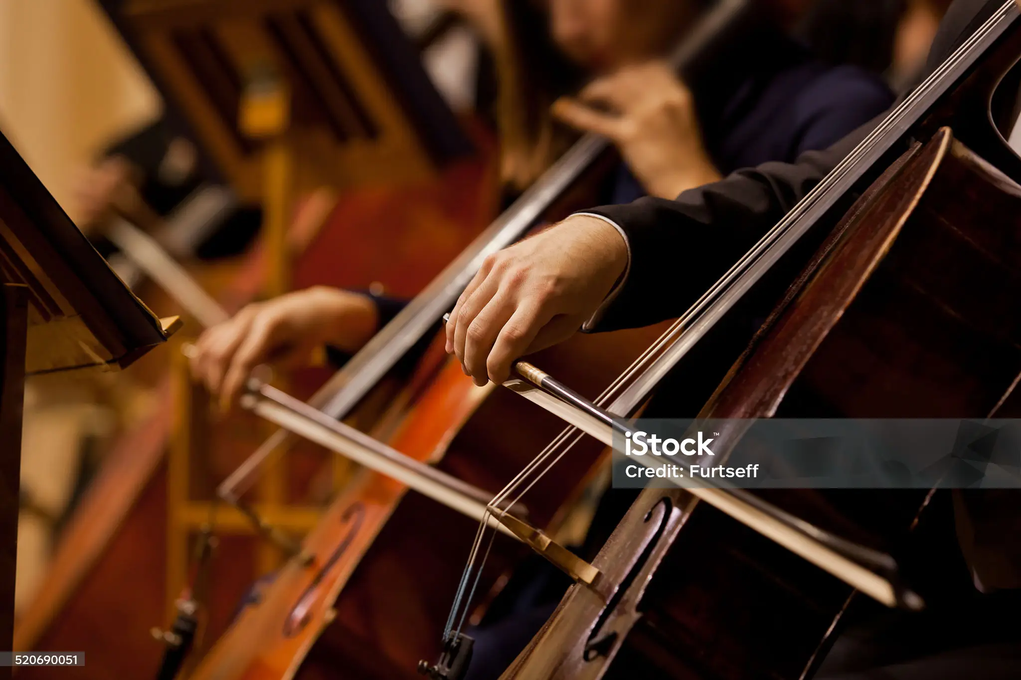 Concert grand ensemble de violoncelles