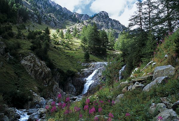 D�couverte du Haut-Bor�on