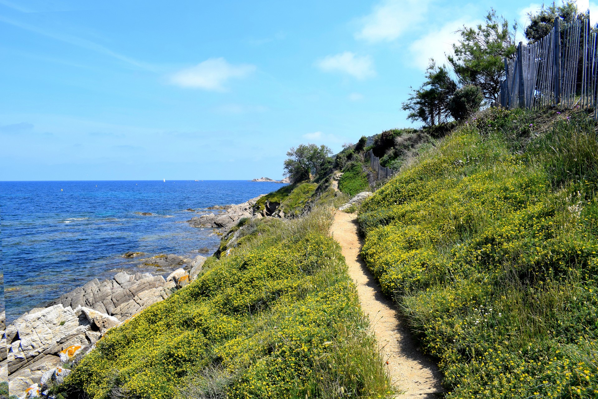 Randonn�e �De la plage de Bonne terrasse au sommet du phare de Camarat�