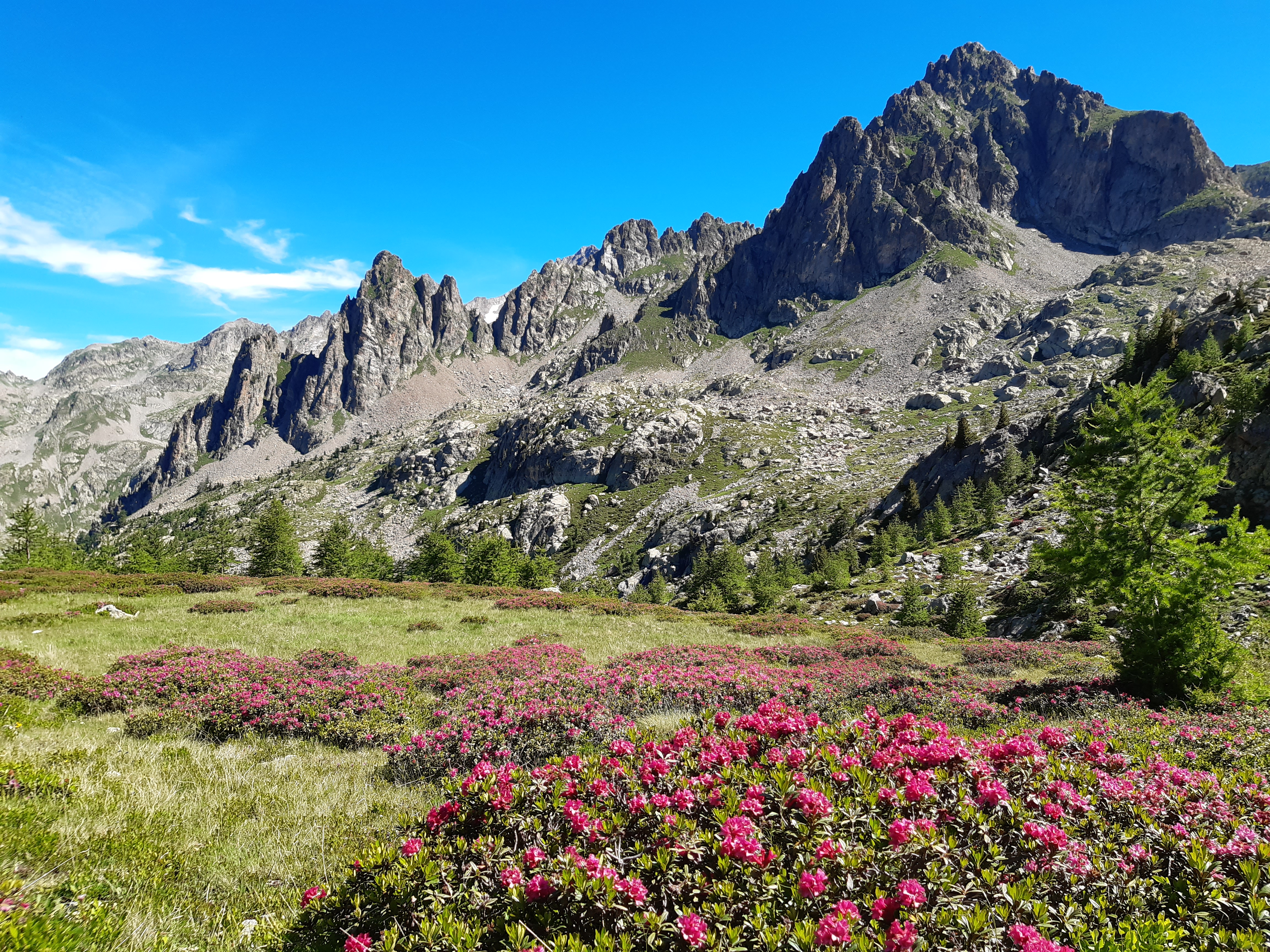 Rencontre avec un garde : lumi�res sur le Parc national du Mercantour