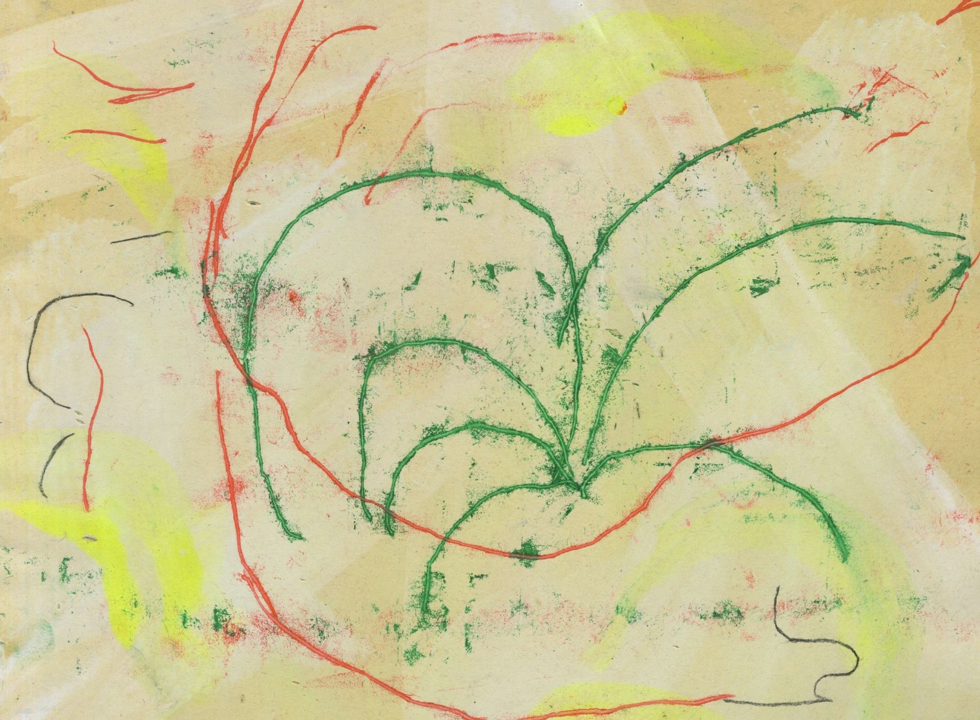 Les fleurs d'Yto - exposition de Bonnefrite