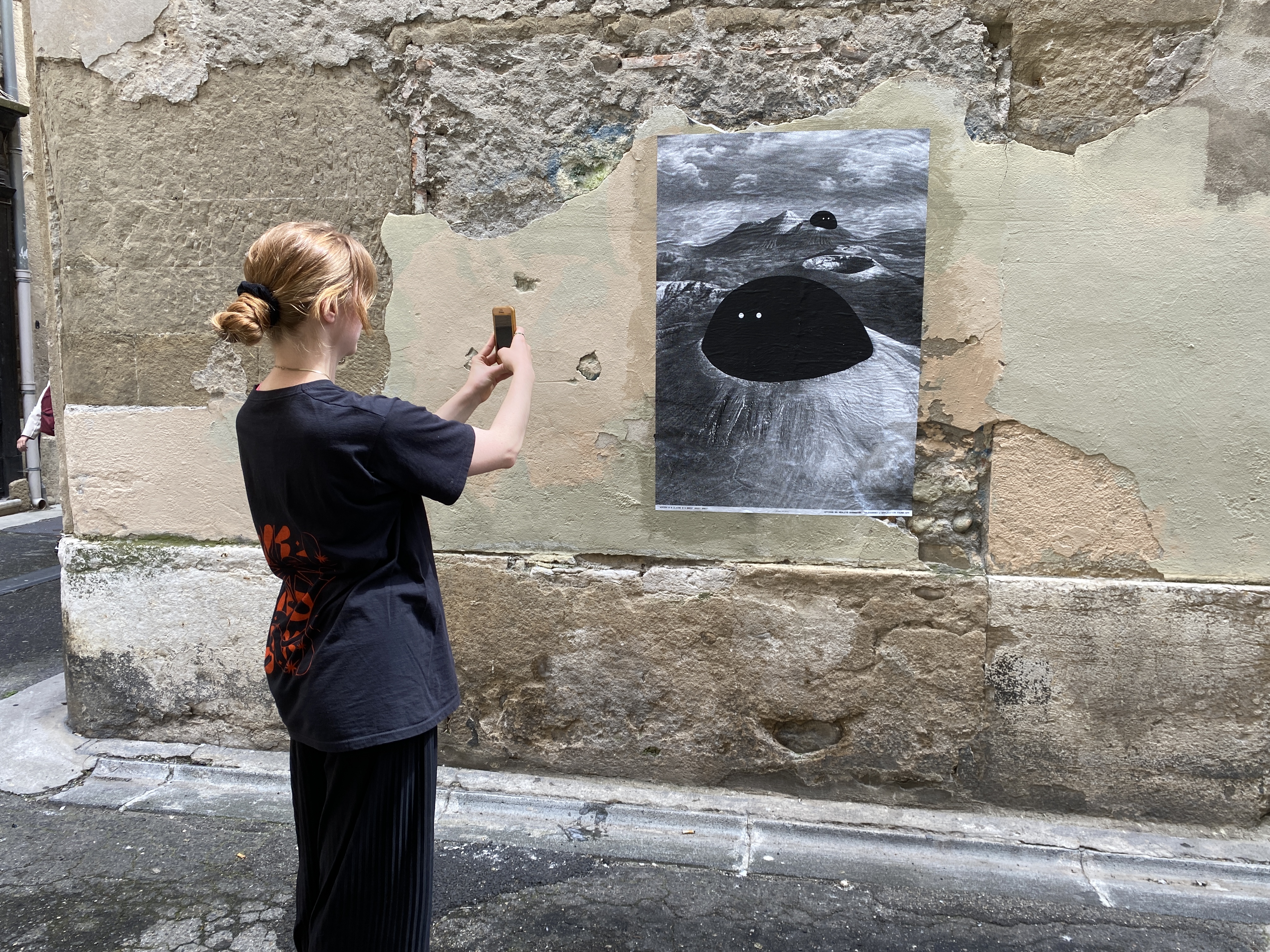 Faune