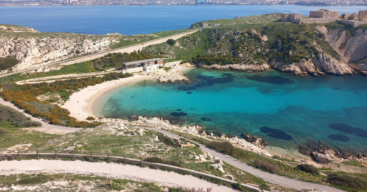 Balade �cogarde : d�couverte du Frioul