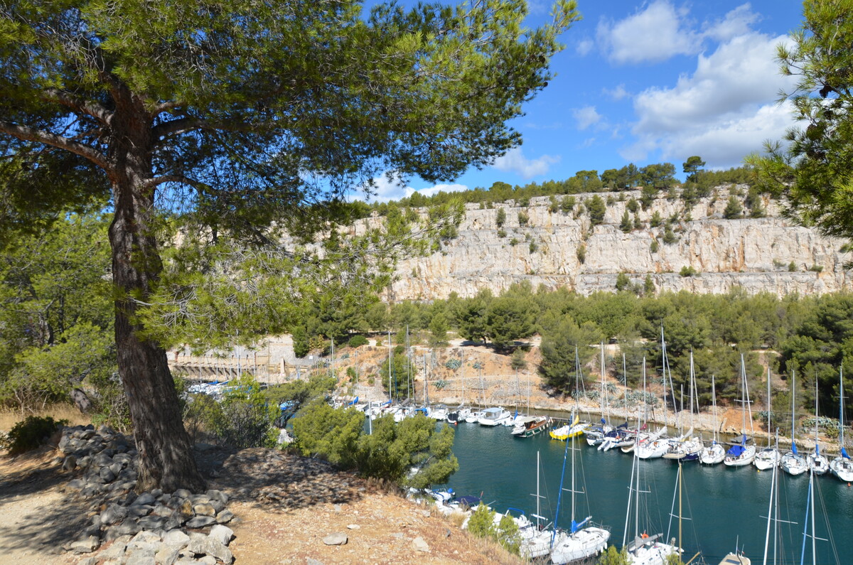 Balade avec les �cogardes � Port-Miou