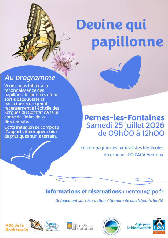 Devine qui papillonne