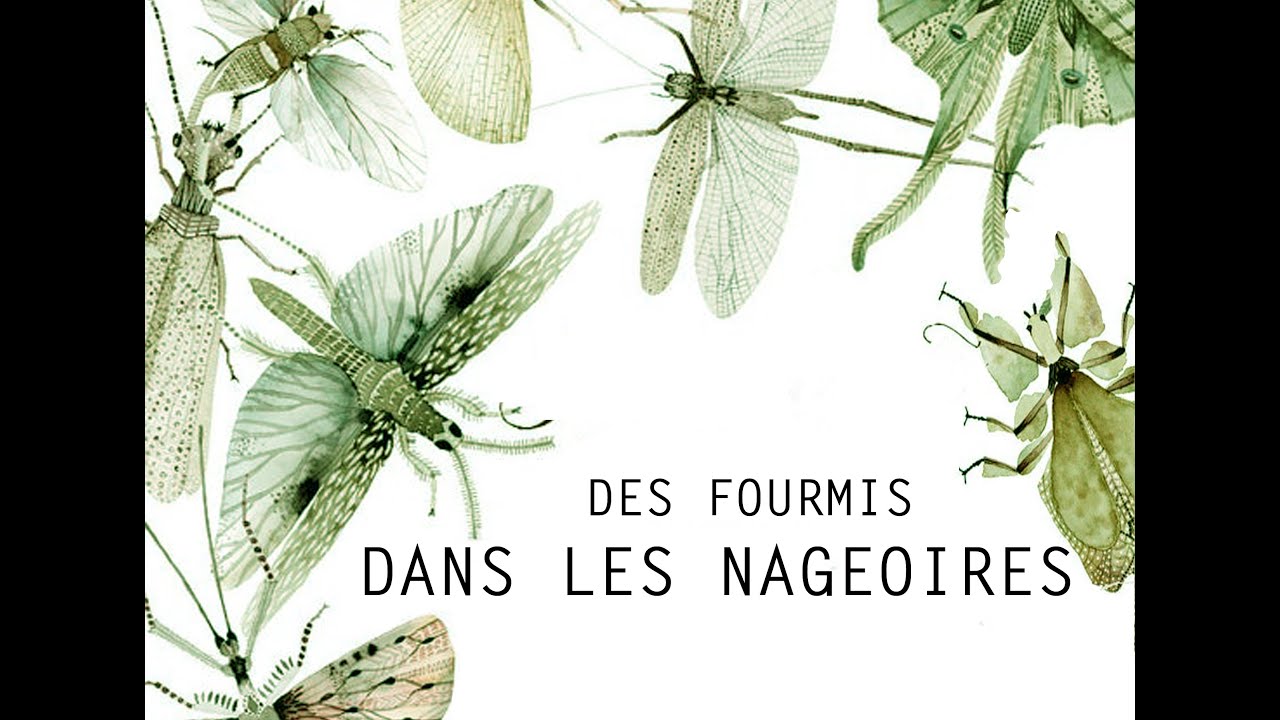 Spectacle petite enfance ��Des fourmis dans les nageoires��, Cie La t�te en l�herbe