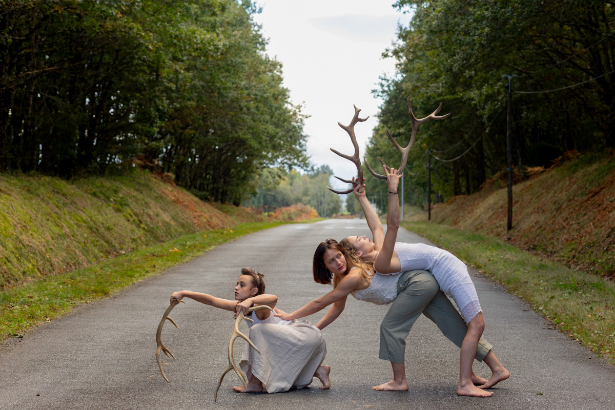 Spectacle Faune