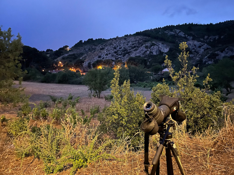 Sortie nature du Mus�um : observation d'oiseaux nocturnes