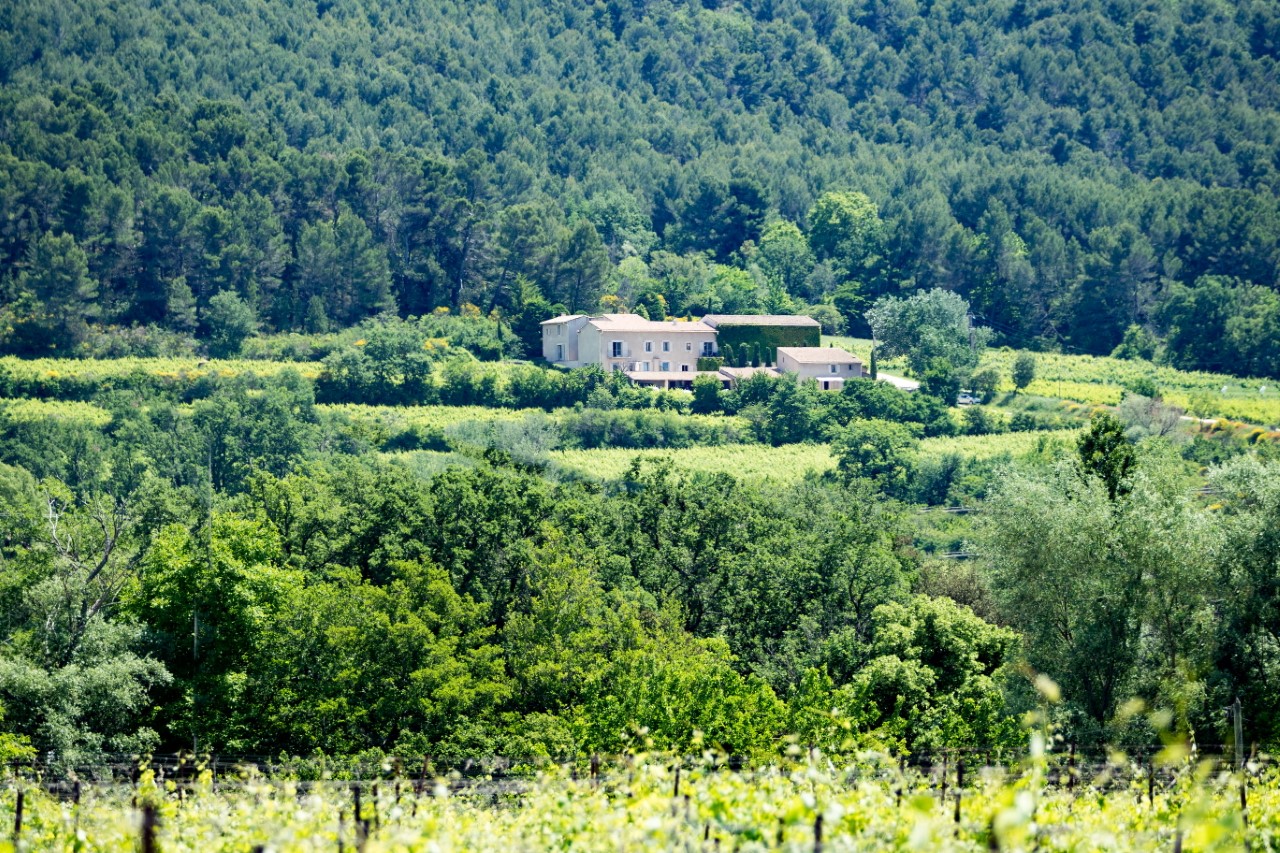 Sunset Vigneron 2026 au Ch�teau Saint Pons