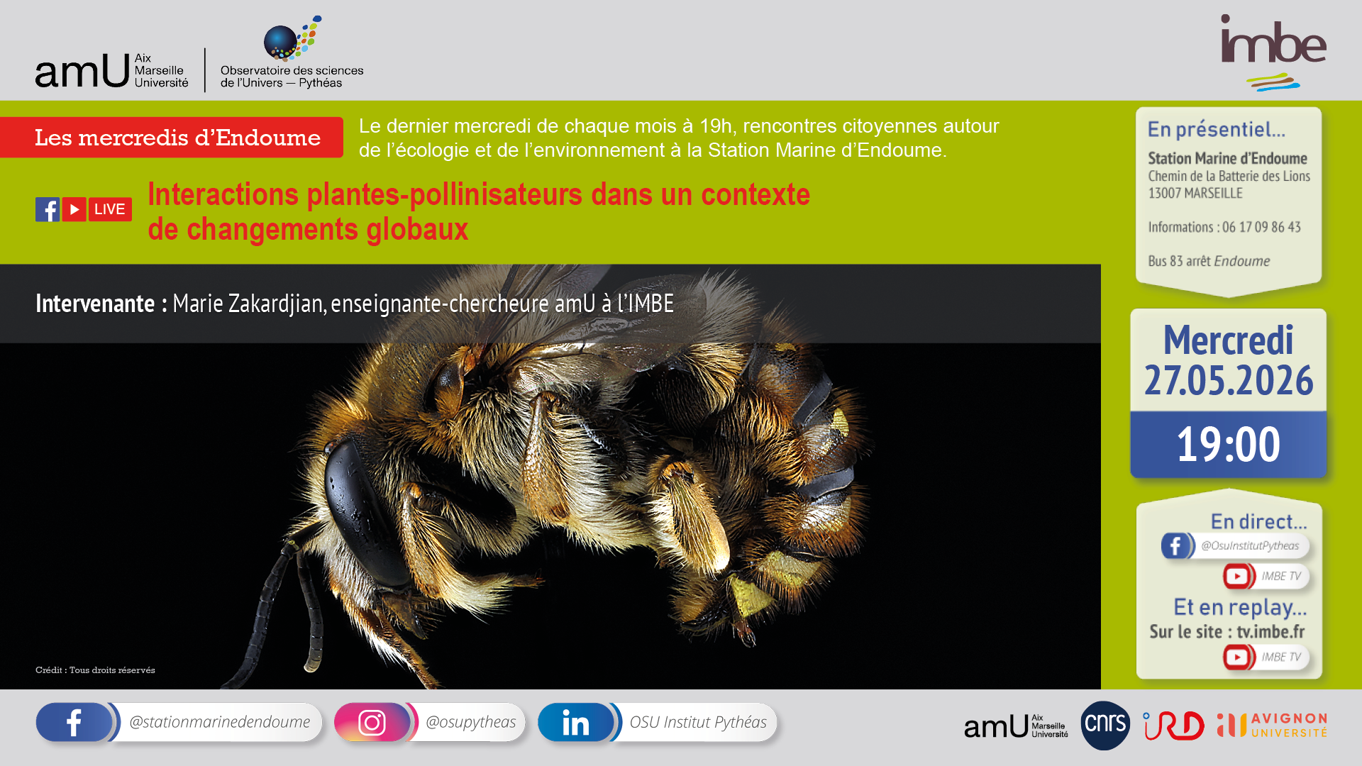Interactions plantes-pollinisateurs dans un contexte de changements globaux