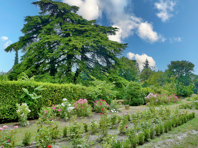 Rendez-vous aux jardins : Visites guid�es et lectures : Le jardin du Carmel au-del� du regard