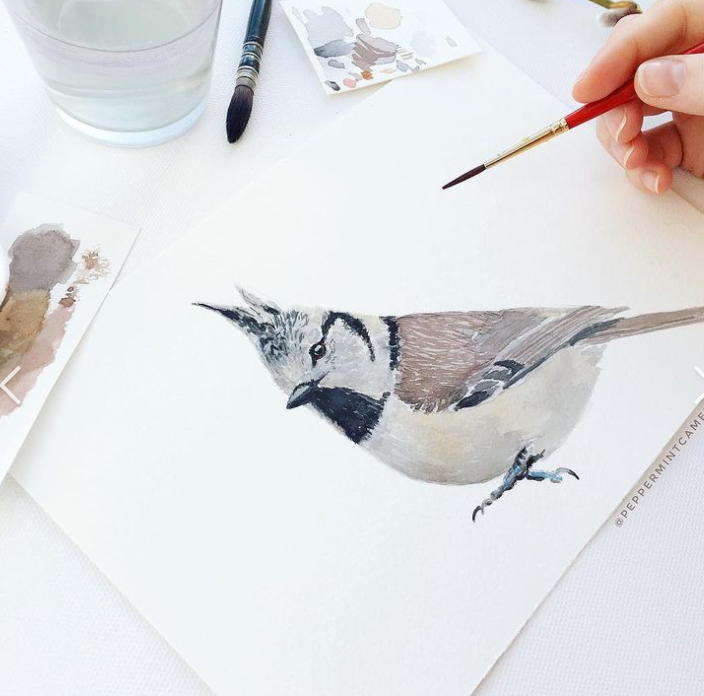 Atelier dessin d�illustration naturaliste
