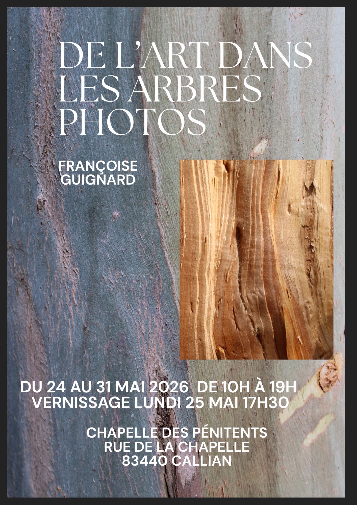 Exposition Photos de l'Art dans les arbres