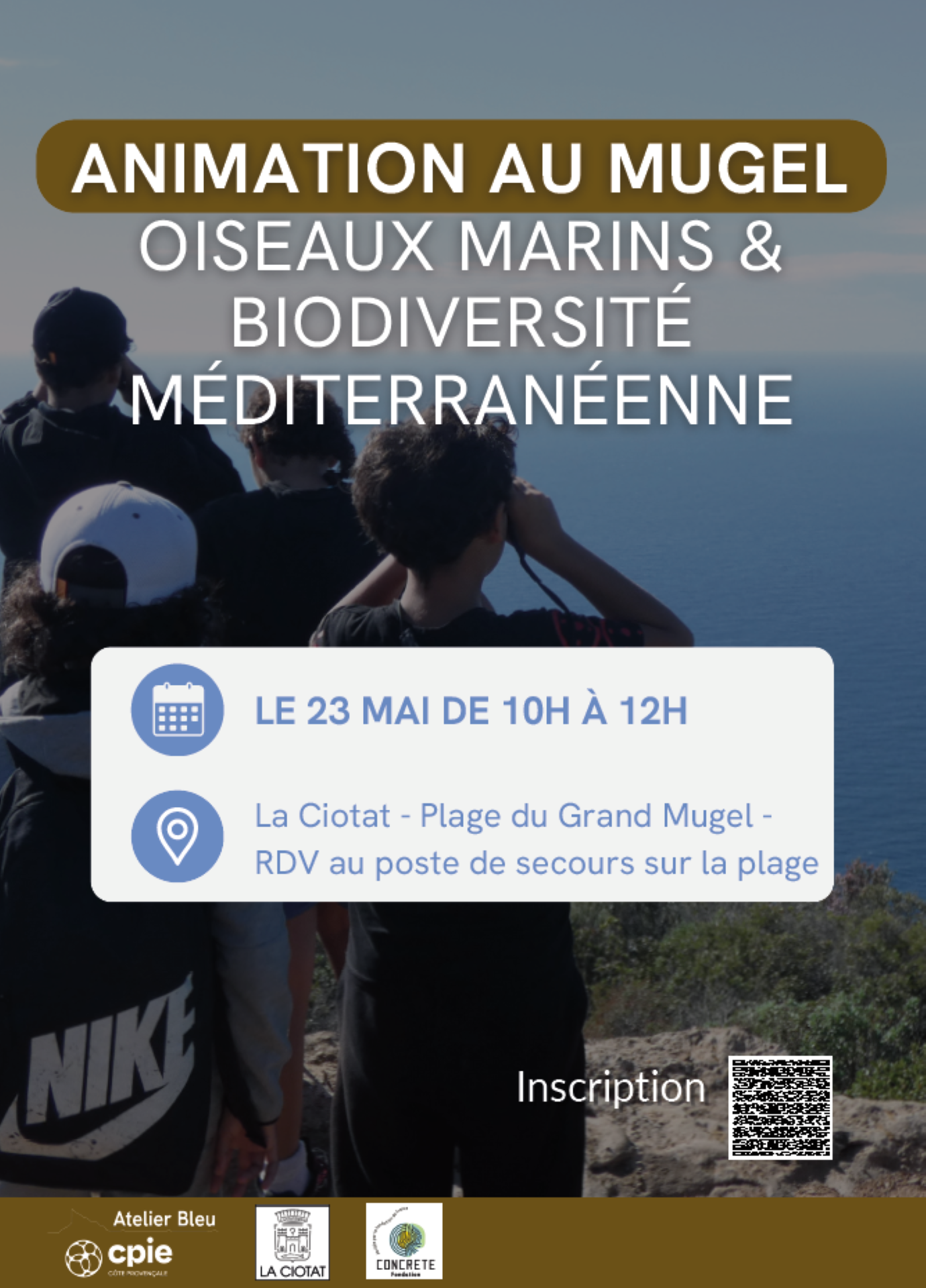 Observation des oiseaux marins et d�couverte de la biodiversit� m�diterran�enne sur la plage du Grand Mugel