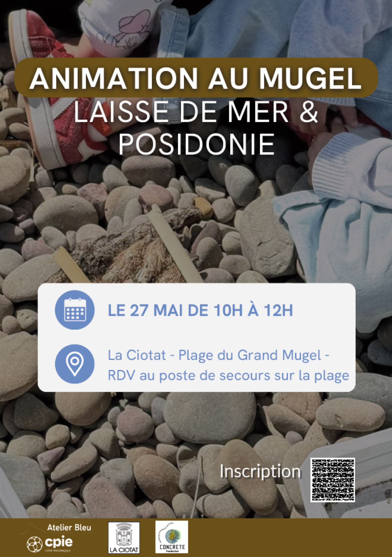 Exploration des tr�sors naturels dans la laisse de mer et de la posidonie sur la plage du Grand Mugel