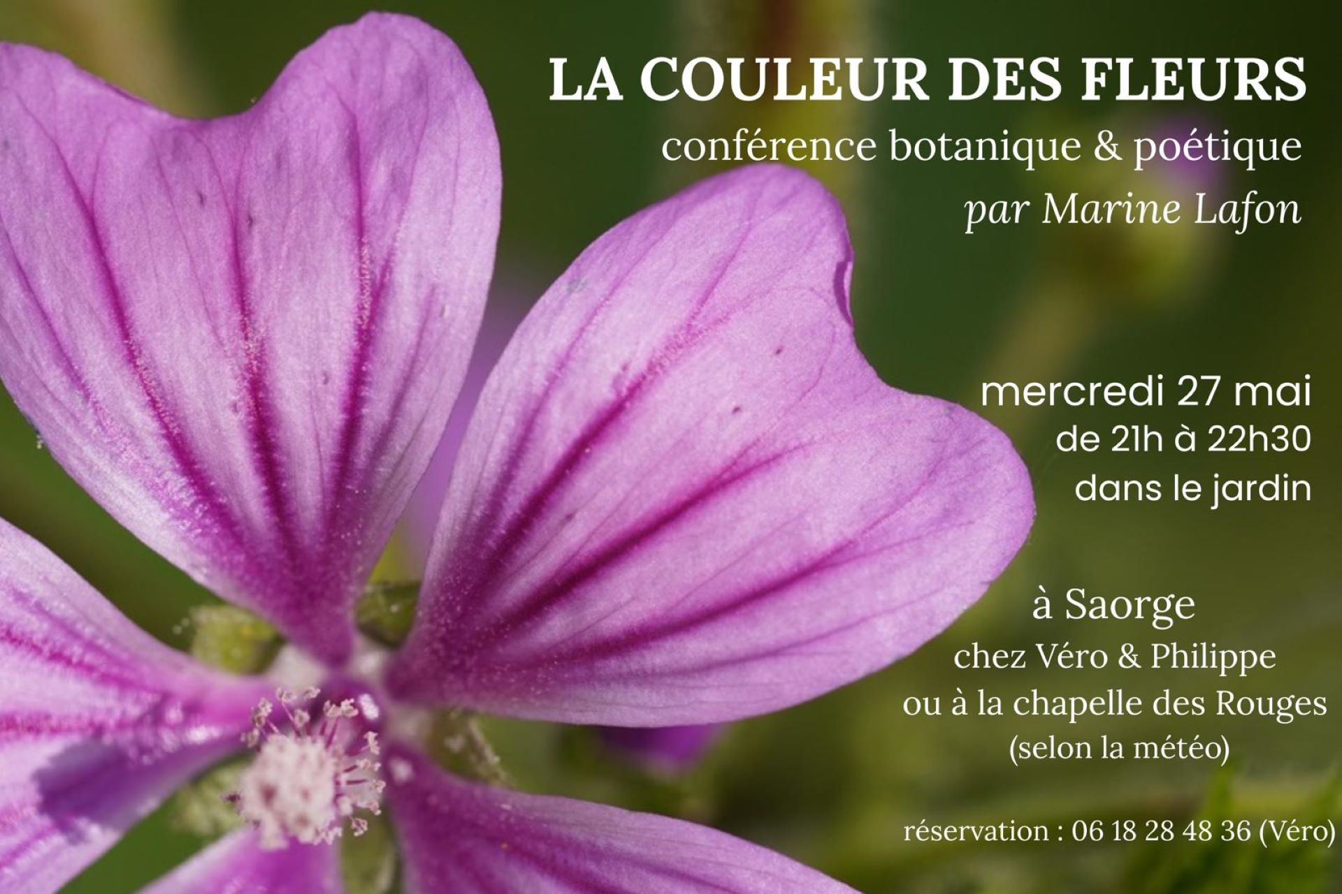 Conf�rence botanique et po�tique : la couleur des fleurs