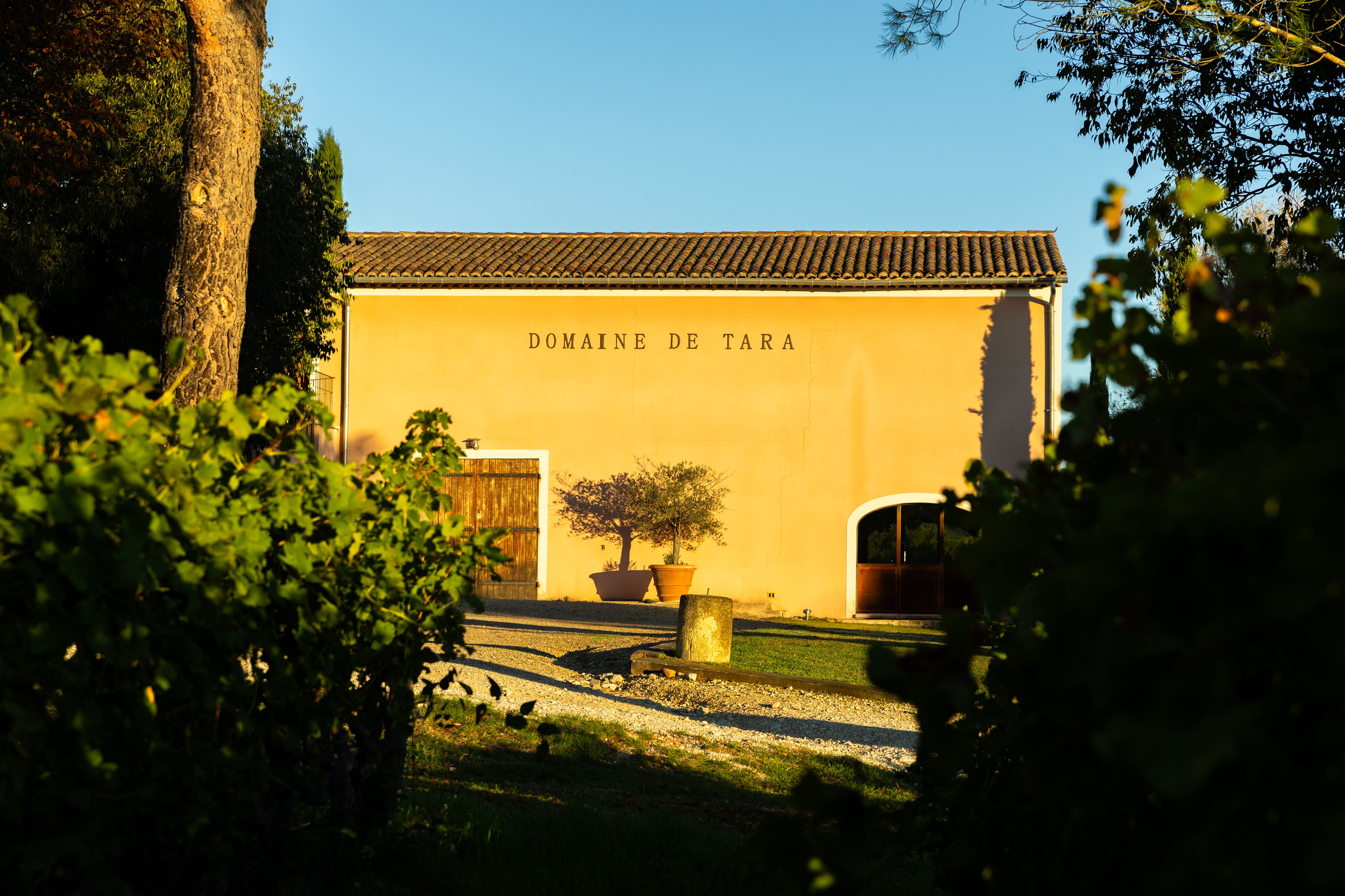 Sunsets Vignerons 2026 au Domaine Tara