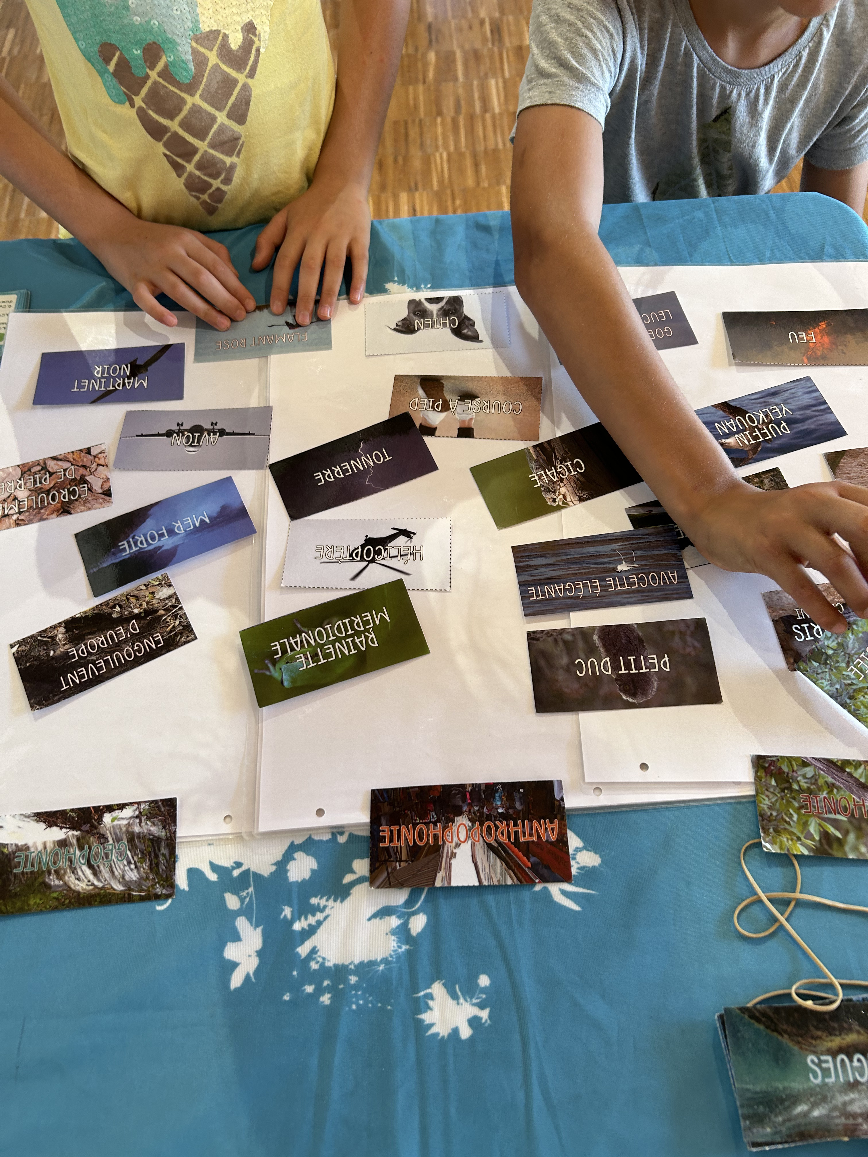 Les animations �coguides : Patrouille et animation � l�Espace Nature D�partemental du Plan