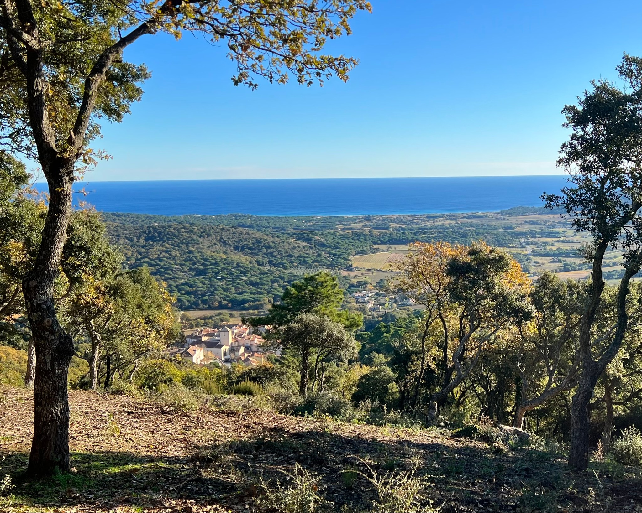 Balade des sens sur le chemin du Moulin Roux