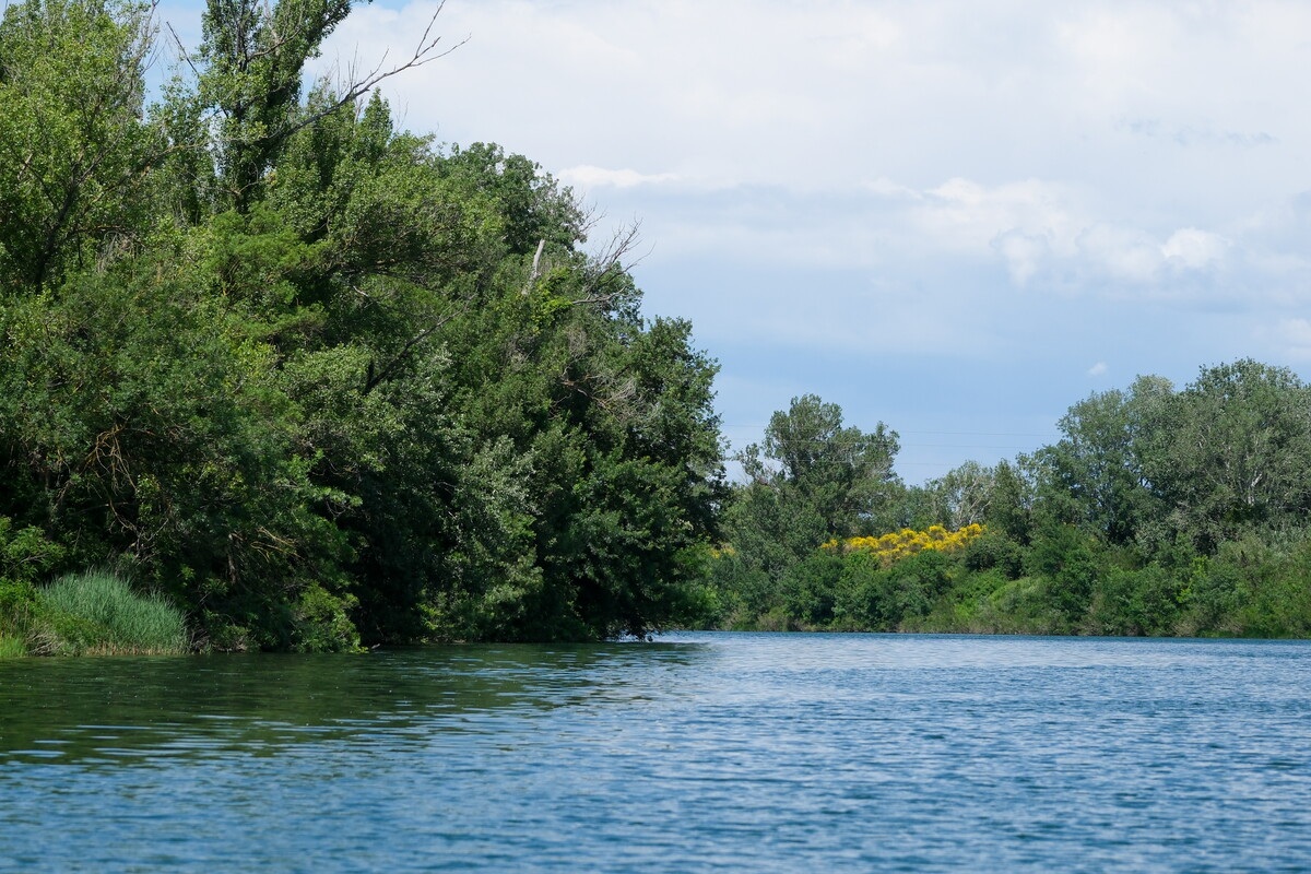 D�couverte de l��le de la Barthelasse