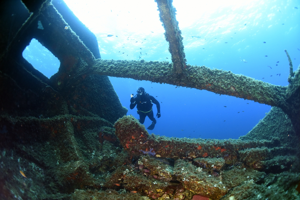 Point rencontre : Les �paves de Porquerolles