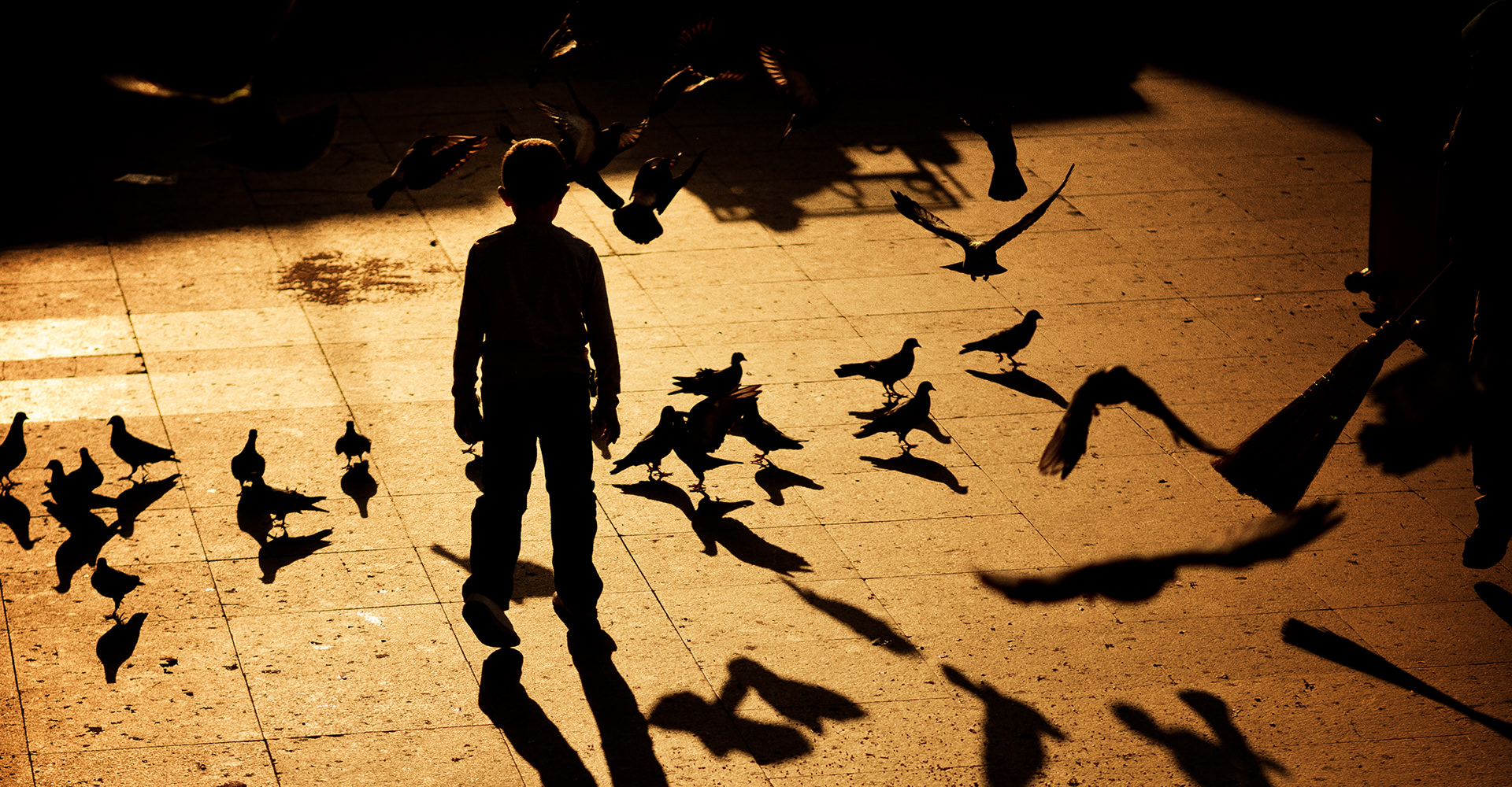 Le petit gar�on avec une ombre d'oiseau